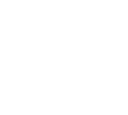 Alpine Partners